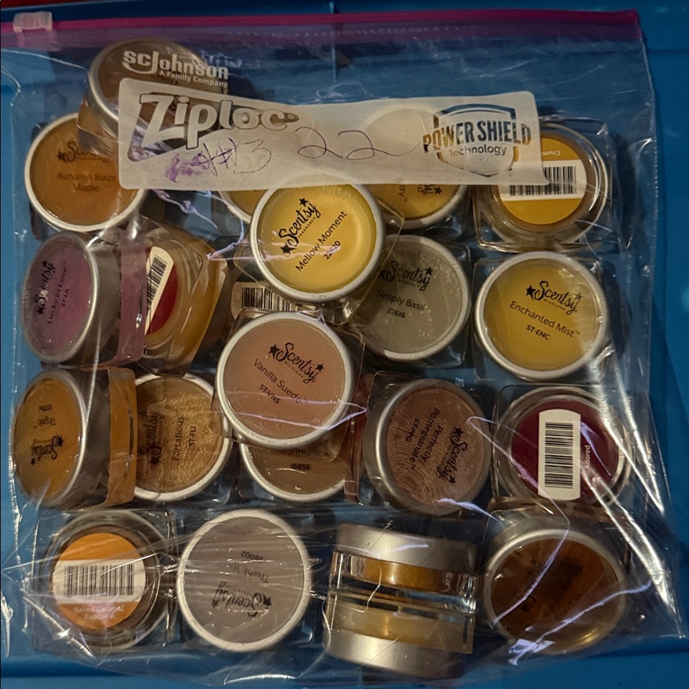 Grab bag of 22 discontinued Scentsy testers. Home Party size. Lot #3